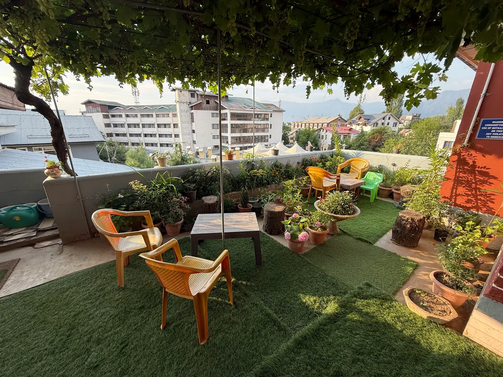 The rooftop garden at Bing Homestay under its grape vine, looking out to the Zabarwan mountains